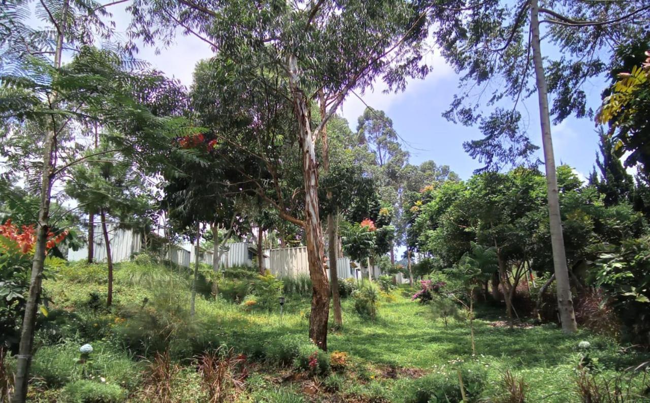 Hotel Bukit Pinus Tegalharendong Exteriör bild