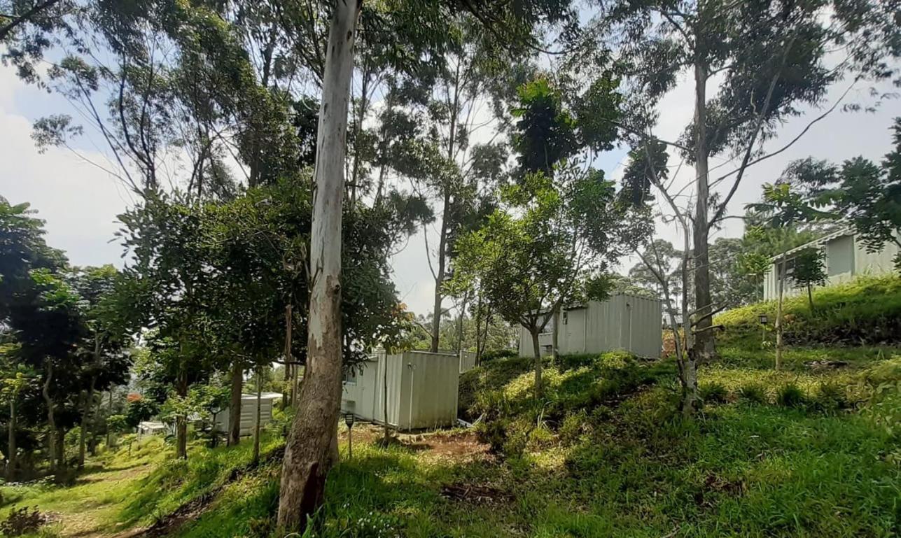 Hotel Bukit Pinus Tegalharendong Exteriör bild