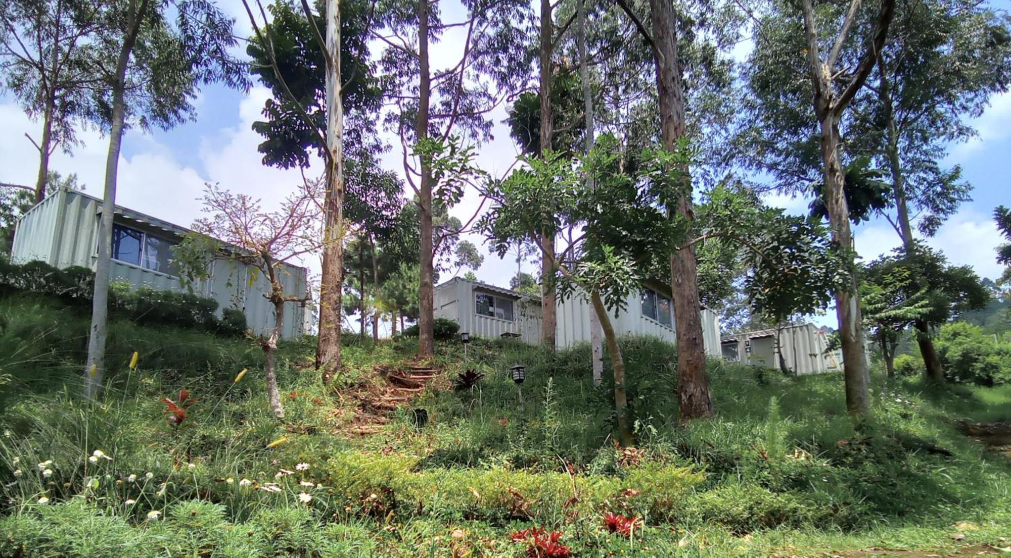 Hotel Bukit Pinus Tegalharendong Exteriör bild